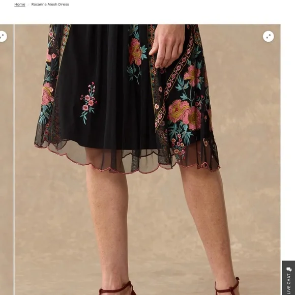 Roxanna Mesh Dress - Picture 6 of 7